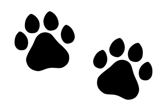 Paw print of dog, cat, puppy pet footprint,  print vector icon