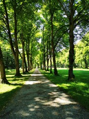 Obraz premium Chiemsee