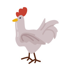 White Hen, Farm Poultry Breeding, Agriculture and Farming Concept Cartoon Style Vector Illustration