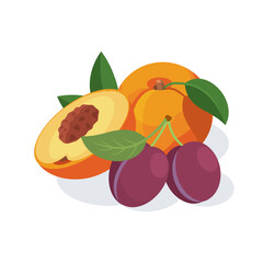 Peach and plum. Peach and plum. Vector 3d isometric, color web icons set, new flat style.