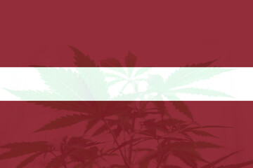 leaf of cannabis marijuana on the flag of Latvia. Cannabis legalization in the Latvia.