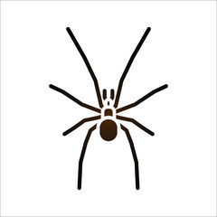 spider icon. arachnid vector. animals sign. vector illustration