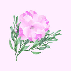 bouquet of pink roses