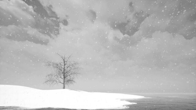 Single tree winter landscape Beautiful view Snow weather 4k
