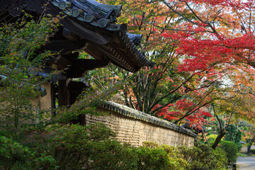唐招提寺 (奈良県奈良市 2014/11/16撮影)