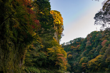 Fototapeta premium 秋の高千穂峡