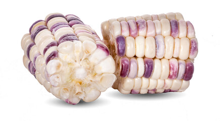 Corn isolated on white a white background