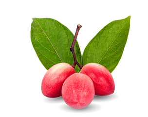 Mango yawning lime boo isolated on white background