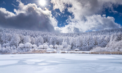雪の長野県聖高原中牧湖の霧氷