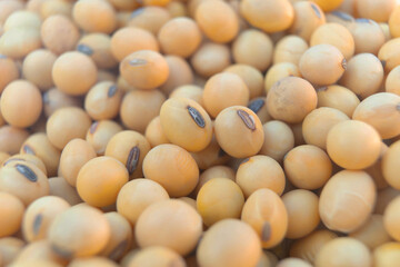 Closeup yellow raw soybean background