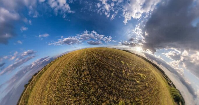little planet revolves among fields with beautiful blue sky with evening clouds. tiny planet transformation with curvature of space.