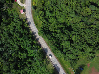 Aerial view of green tropical forest road. Curved road from above