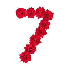 Numeral 7 made of red roses on a white isolated background. Element for decoration. Red roses.