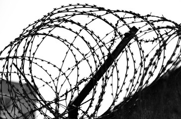 Contrasting black and white barbed wire