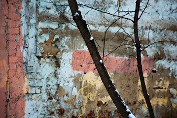 Composition on the background of old walls