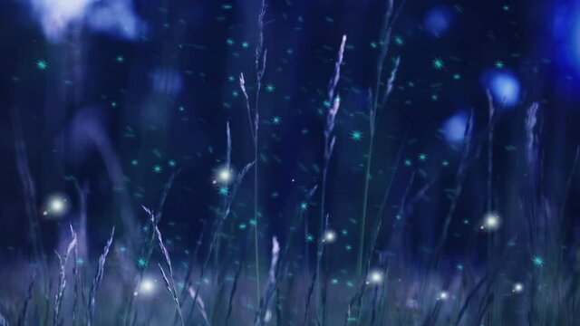 Snow or fireflies in a garden special effectd