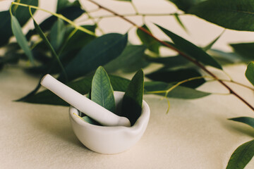 Small white ceramic mortar, with eucalyptus leaves. Beauty and spa concept.