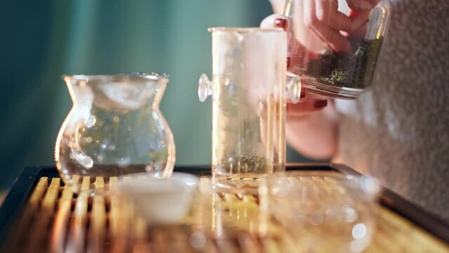 Tea ceremony. Young woman puts tea to brewing pot with hands