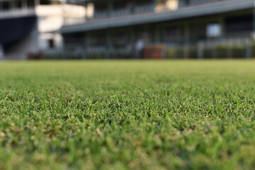 football field and stadium