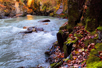 The magical colors of autumn in the forest of Svaneti