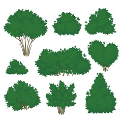 Set of shrubs with lush green foliage in various shapes isolated on a white background. Summer icon. Vector illustration.