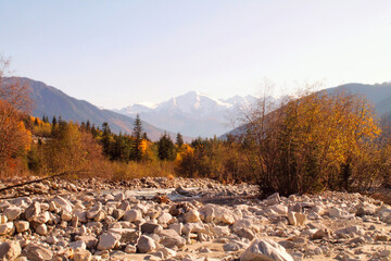 The magical colors of autumn in the forest of Svaneti