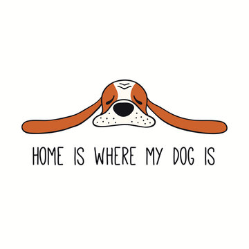 Cute funny basset hound, puppy, quote Home is where my dog is. Hand drawn color vector illustration, isolated on white. Line art. Pet logo, icon. Design concept trendy poster, t-shirt, fashion print.