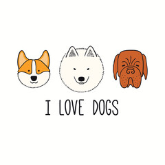 Cute funny corgi, mastiff, Samoyed, puppy faces, quote I love dogs. Hand drawn color vector illustration, isolated on white. Line art. Pet logo, icon. Design concept for poster, t-shirt, fashion print