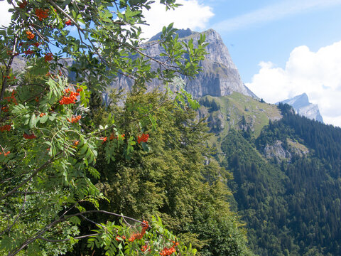 plaine joux,servoz, haute savoie, FRANCE