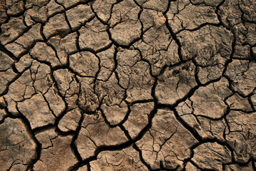 Soil cracked background. Earth in dry season