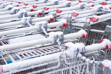 An abandoned cart in the snow. They're behind the fence.