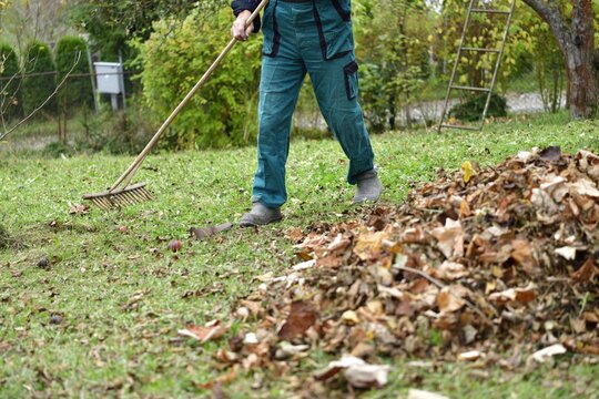 A farmer in a cottage rakes autumn leaves on a hill