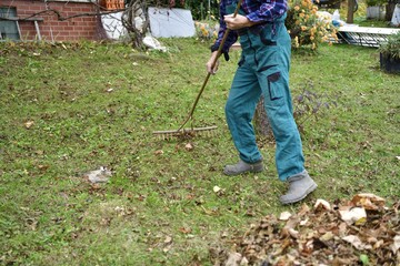 Autumn garden work and leaf cleaning before winter