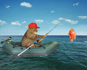 A beige cat fisherman in a inflatable boat caught a gold fish in the sea.
