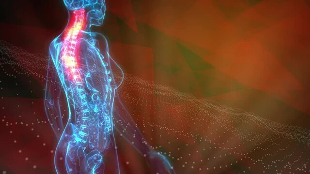 cg medical 3D animation, Cervical, top part of spine on x ray body