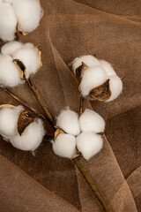 cotton branch on brown tulle fabric