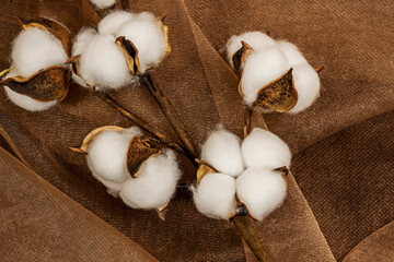 cotton branch on brown tulle fabric