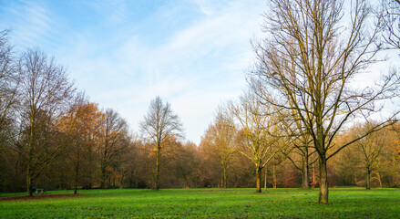 Fototapeta na wymiar Winter view with ballpark and barren trees 