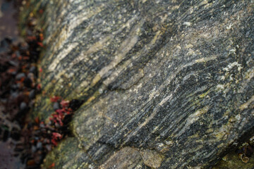 Rock texture for the background. Natural photography. 