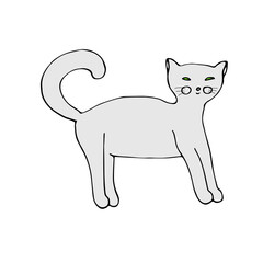 Gray cat, vector illustration, doodle, hand drawing