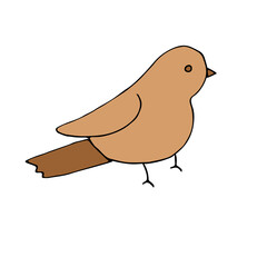 Brown bird, vector illustration, doodle, hand drawing