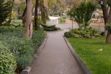 Road in the parkPhoto of Baku in cloudy weather