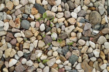 rubble pattern on the road