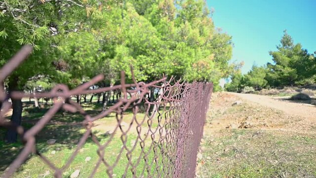 Camera follows a rusty iron fence placed on a place with pine trees on a sunny day .High definition footage.