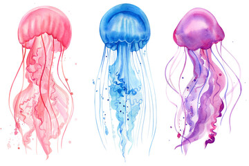 Watercolor jellyfish white background, marine life illustration