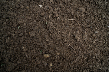 soil background brow texture on earth