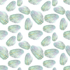 Seashells watercolor clipart pattern