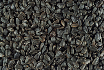 Black sunflower seeds close up. Seed texture. Lots of seeds in a pile.