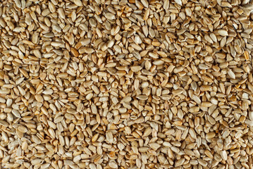 Peeled sunflower seeds close up. Seed texture. Lots of seeds in a pile.