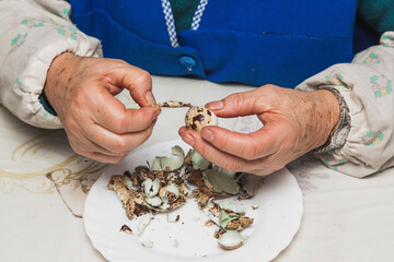 The hands of an elderly lady peeling a quail egg